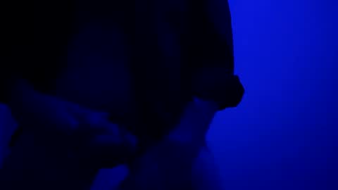 SeanWadGodDamn online show from October 2025 05:40:01 AM