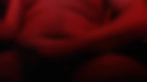 Snapshot of sebiche_ma_biche chatting on March 2025 02:50:01 AM Apple online show from March 2025 02:50:01 AM