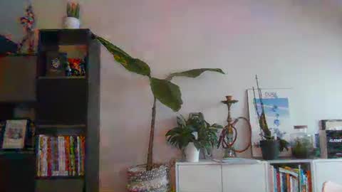 sebix9206 online show from February 2025 08:27:02 AM