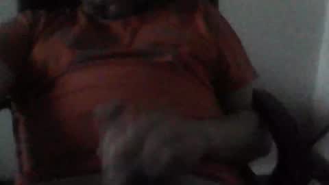 Snapshot of sebo123456 chatting on December 2024 03:06:02 PM sebo123456 online show from December 2024 03:06:02 PM