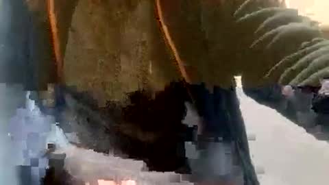 sebtin1979 online show from February 2026 02:36:01 PM