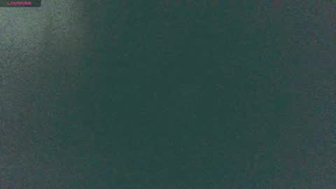 Sunny online show from December 2024 08:56:01 AM