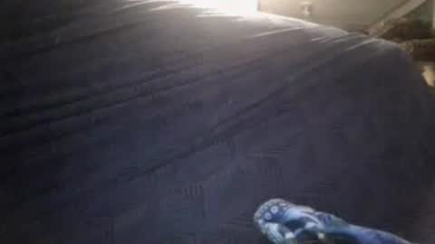 Sunny online show from February 2026 03:37:02 AM