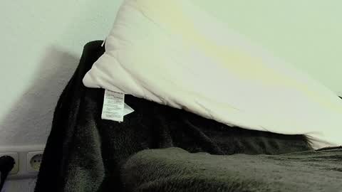 Snapshot of secretanni chatting on December 2024 05:45:02 PM Anni online show from December 2024 05:45:02 PM