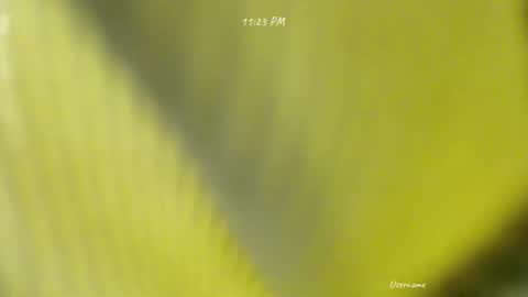 Snapshot of seduce_me_oldman chatting on March 2026 03:16:02 PM seduce_me_oldman online show from March 2026 03:16:02 PM