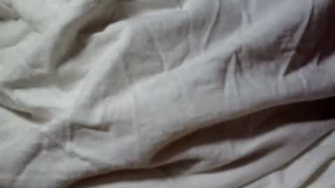 seeus24 online show from February 2025 08:29:02 AM