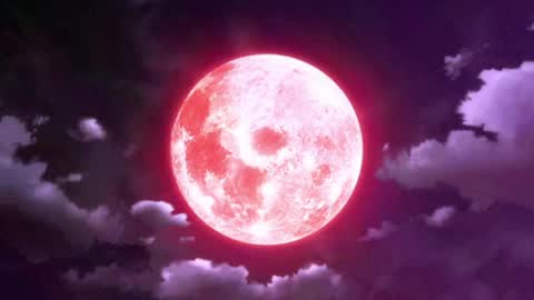 Snapshot of seleneg chatting on April 2026 03:17:02 AM Selene G online show from April 2026 03:17:02 AM