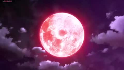 Selene G  online show from June 2026 03:11:02 AM