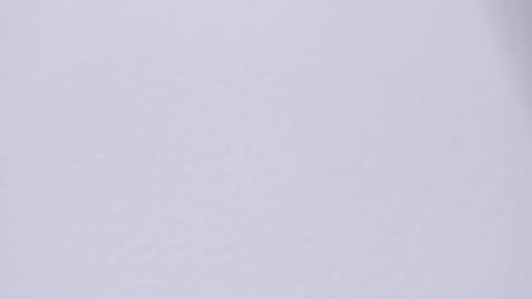 Snapshot of selenne_rouse chatting on April 2026 12:19:01 AM selenne_rouse online show from April 2026 12:19:01 AM