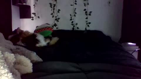 Snapshot of selfcaregirl chatting on April 2026 09:16:01 PM Lauren online show from April 2026 09:16:01 PM