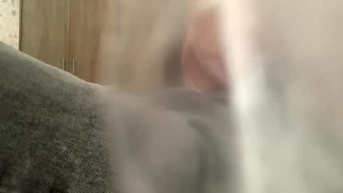 Snapshot of serpenttiin chatting on September 2025 07:55:02 AM serpenttiin online show from September 2025 07:55:02 AM