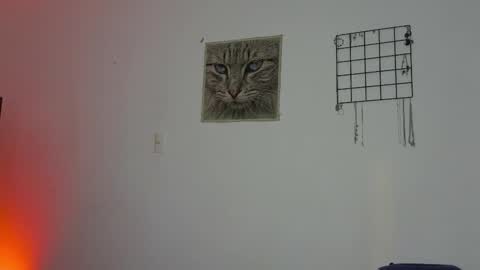 Alexis online show from October 2025 04:34:02 AM