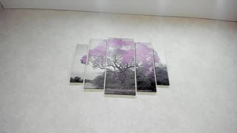 Xenia online show from January 2025 02:34:01 PM