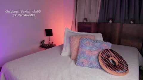 ... Camila ... online show from December 2024 01:49:02 PM