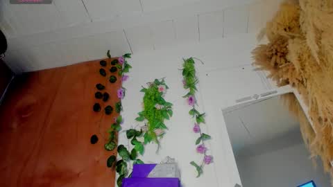 sexking_david online show from December 2025 11:02:01 PM