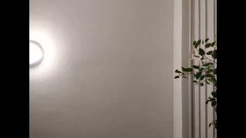 sexy30031986 online show from November 2025 09:14:02 PM