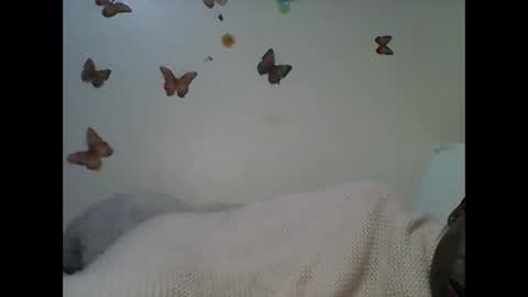 Ann online show from November 2025 03:49:02 AM