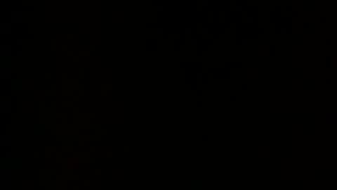 Cayden online show from January 2025 08:29:01 AM