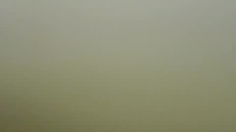 sexy_esther92 online show from January 2026 06:39:02 AM