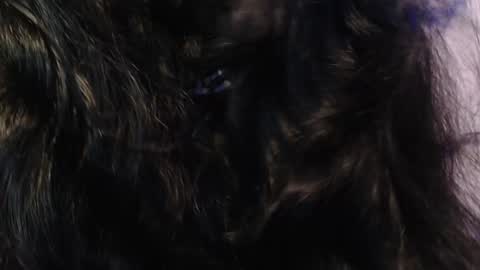    online show from January 2025 03:33:01 AM