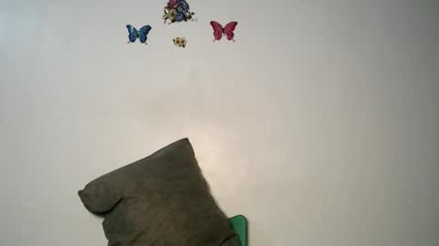 Luna online show from November 2025 10:42:02 PM