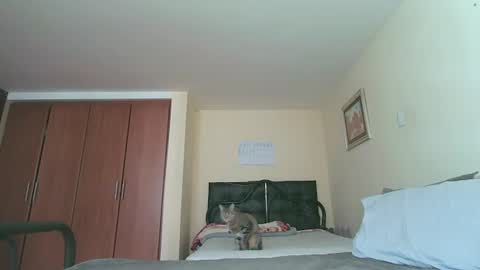 Snapshot of sexyaliceskay chatting on July 2026 02:24:01 PM Alice Skay online show from July 2026 02:24:01 PM