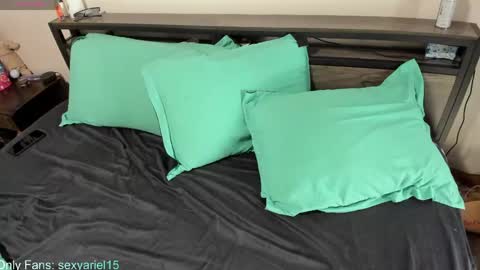 Snapshot of sexyariel15 chatting on May 2026 03:32:01 PM SexyAriel15 online show from May 2026 03:32:01 PM