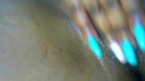 Lisa online show from November 2025 12:49:01 PM