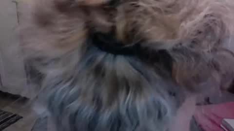 Snapshot of sexyfit58 chatting on December 2024 01:57:02 AM SexyFit58 online show from December 2024 01:57:02 AM