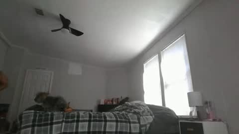 Snapshot of sexyfl440703 chatting on October 2025 03:46:02 PM sexyfl440703 online show from October 2025 03:46:02 PM