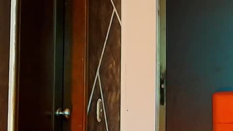 N A F online show from February 2025 07:19:02 PM