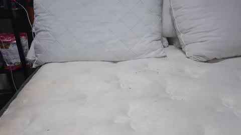 Snapshot of sexystephanie04 chatting on April 2026 10:26:02 PM sexystephanie04 online show from April 2026 10:26:02 PM