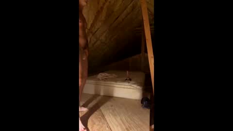 Snapshot of sexytsmstars chatting on March 2026 08:11:02 AM Smooth bi guy online show from March 2026 08:11:02 AM