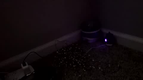 Snapshot of sgrbrnxxx chatting on March 2026 03:18:01 PM Sugar Brown online show from March 2026 03:18:01 PM