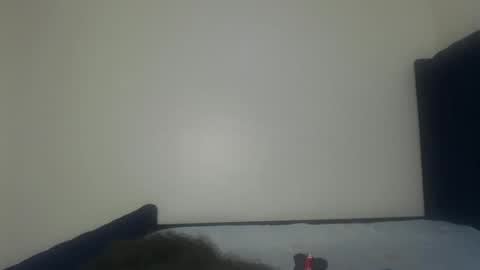 Shadow online show from November 2025 01:25:02 PM