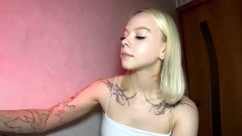 Snapshot of shakianitti chatting on August 2026 03:47:02 PM Nitti online show from August 2026 03:47:02 PM