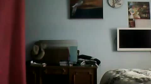 Snapshot of shaomy711 chatting on January 2025 09:33:01 AM excelo21 online show from January 2025 09:33:01 AM