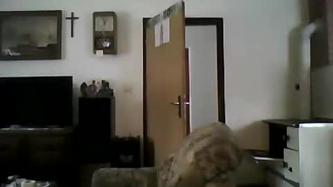 Snapshot of shaomy711 chatting on January 2025 11:56:01 AM excelo21 online show from January 2025 11:56:01 AM