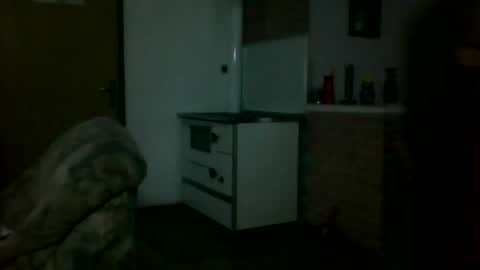 Snapshot of shaomy711 chatting on March 2025 03:16:02 PM excelo21 online show from March 2025 03:16:02 PM