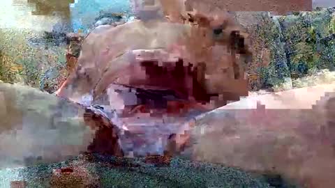 Snapshot of shaomy711 chatting on October 2025 07:14:01 AM excelo21 online show from October 2025 07:14:01 AM