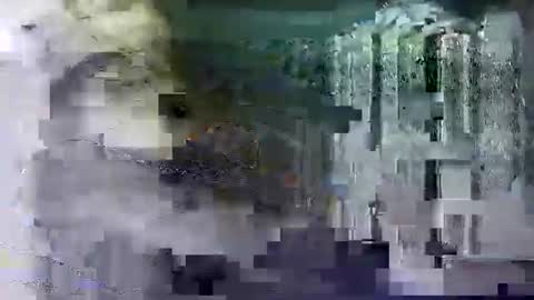 Shashee870242 online show from February 2025 05:25:02 PM