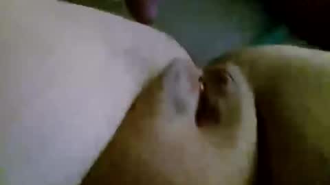 shay6371 online show from November 2025 07:55:01 AM