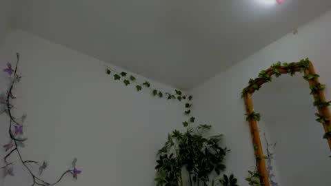 Snapshot of shegoblake chatting on July 2026 12:18:02 AM Shego online show from July 2026 12:18:02 AM
