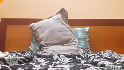 bluehorn online show from February 2025 11:45:01 PM