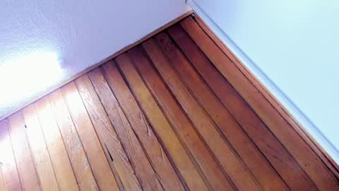 mia online show from January 2025 02:14:01 PM