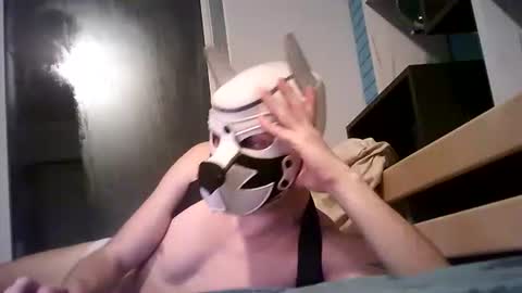 shirogane2004 online show from January 2026 08:00:02 PM