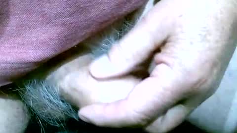 shootertog online show from October 2025 10:48:02 AM