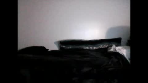 Snapshot of shyboyhugecum2020 chatting on January 2025 06:19:02 AM shyboyhugecum2020 online show from January 2025 06:19:02 AM