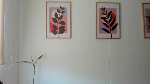 Snapshot of shylittlebunny chatting on February 2026 02:33:01 PM shylittlebunny online show from February 2026 02:33:01 PM