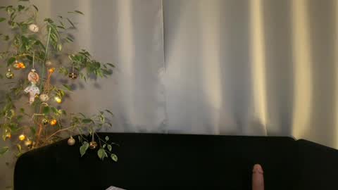 Amelia online show from December 2024 10:12:01 PM